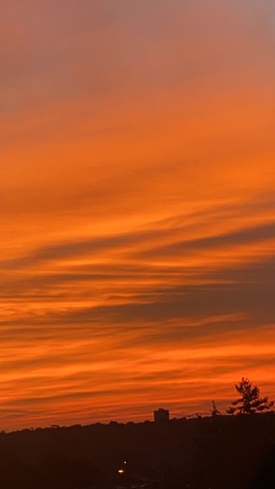 girl who travels thumbnail