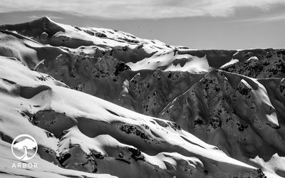 danieldiaries thumbnail