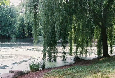 travellersfeetlife thumbnail