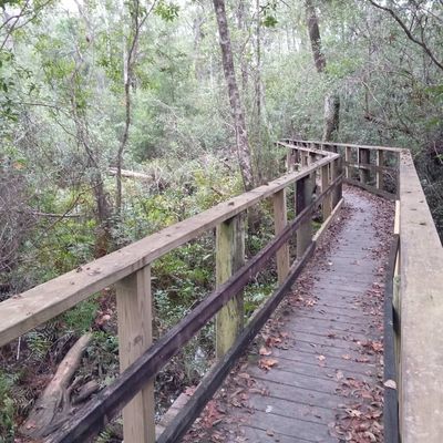 nipplenemo thumbnail