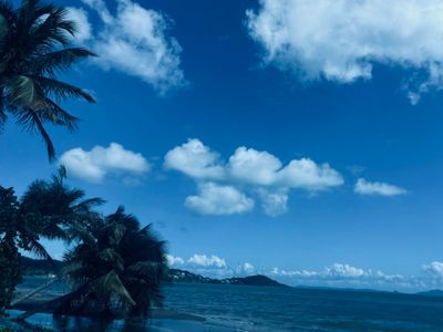 Livanevagine thumbnail