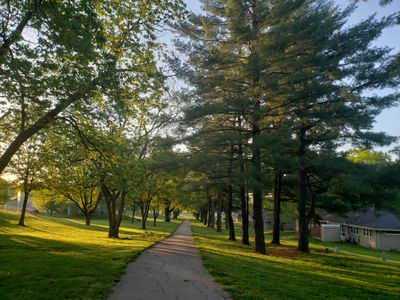 cocaineveins thumbnail