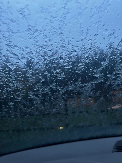 bigsoftiem23 thumbnail