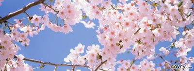 ivyblossomxx thumbnail