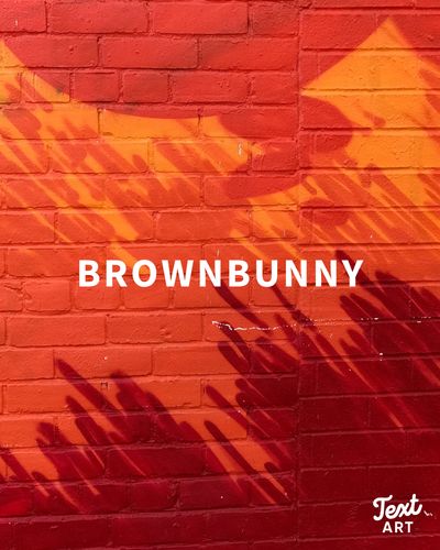 brownbunny thumbnail