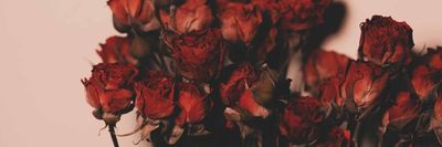 Kate the Cryptid thumbnail