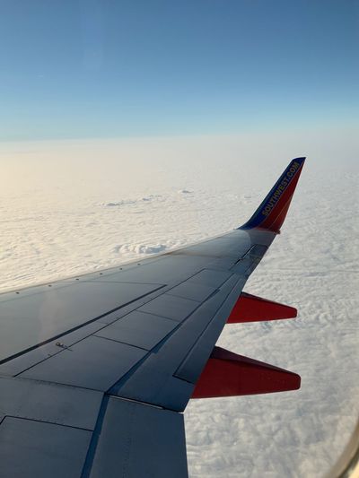 Aaron Malibu thumbnail