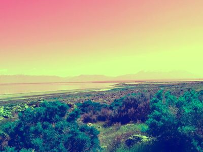 steviesuspensior thumbnail