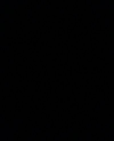 Noel lovee thumbnail