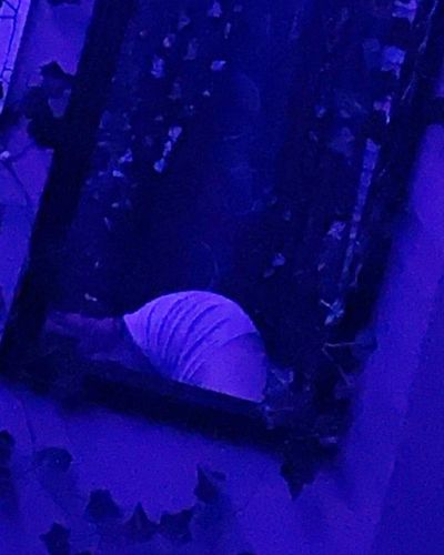 juicyjake212 thumbnail