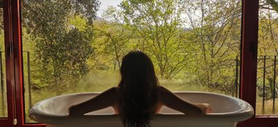 sweetalegra thumbnail