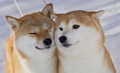 zielaskowsky thumbnail