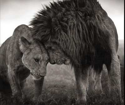 mattman306 thumbnail