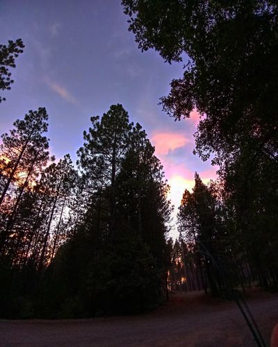 hennessy.xox thumbnail