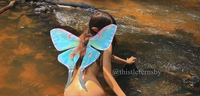 thistlefernsby thumbnail