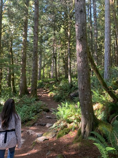 misschievouskat thumbnail