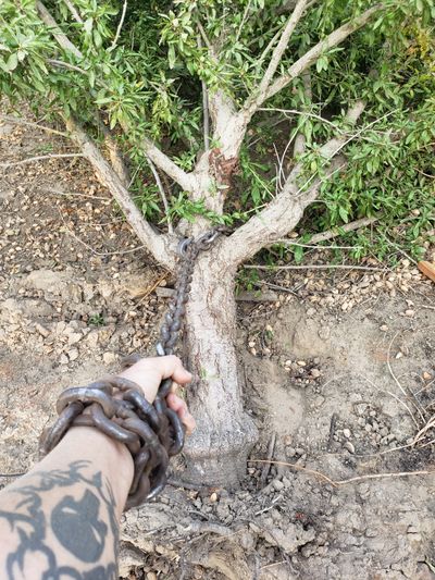 TheGeekyDabber thumbnail