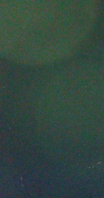 xyzwiildbaebbc profile