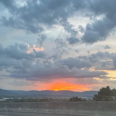 tattedbabby thumbnail