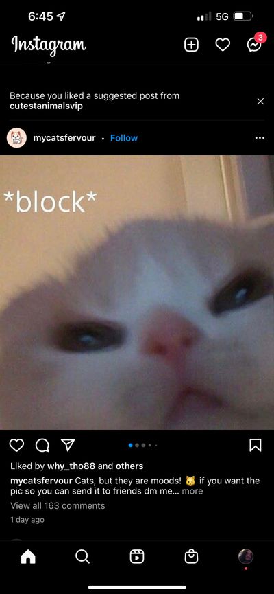 Daddy Degen thumbnail