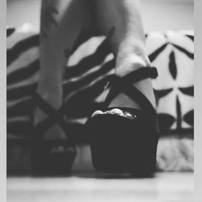 Goddexx Moxn Dragon profile