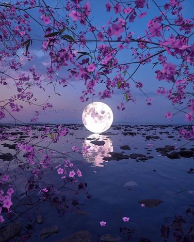 chiio_onlyfans thumbnail