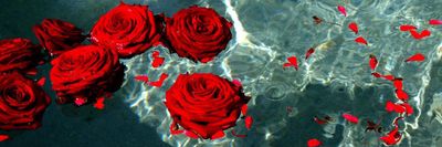 snow.white1703 thumbnail