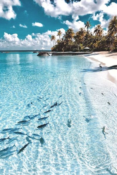 tiff.gets.lit thumbnail