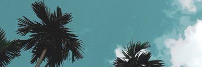 latinboy.15 thumbnail