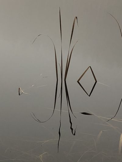 u145867570 thumbnail