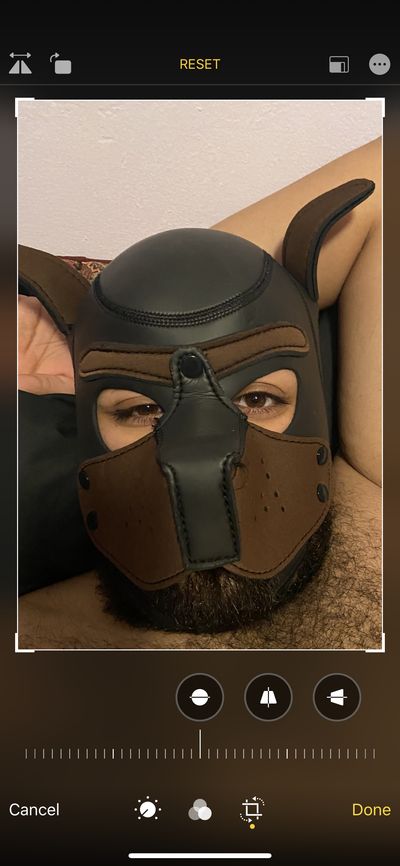 scruffysonasty profile