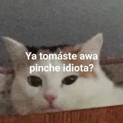 yasminluna thumbnail