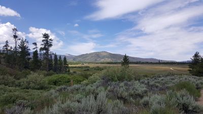 feetandfluffstuff thumbnail