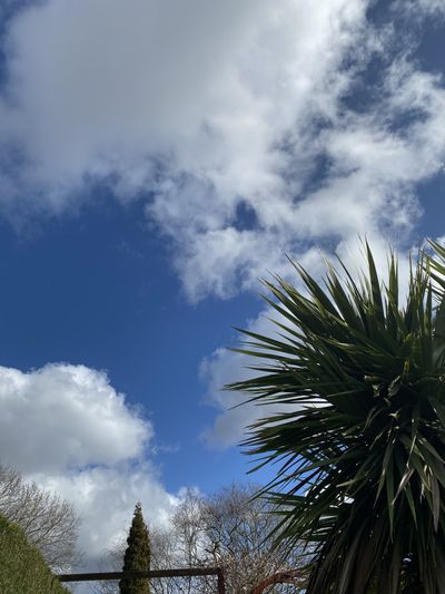 fivefineguys thumbnail