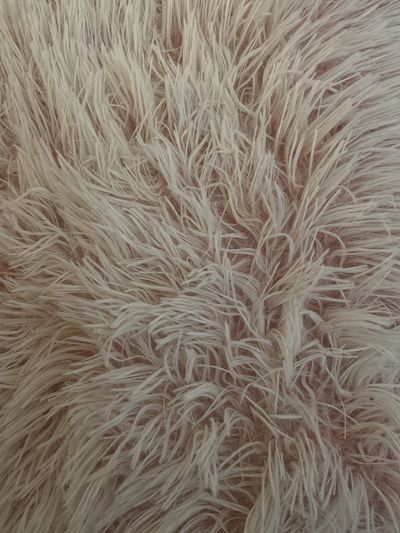 ms_annabella thumbnail