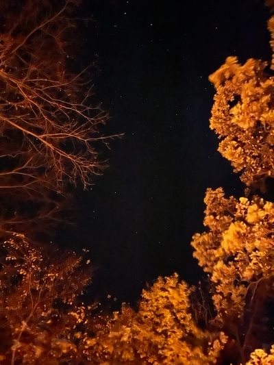 feettonlyfeett thumbnail