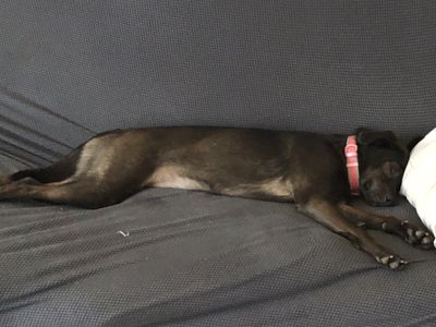 thiagof619 thumbnail