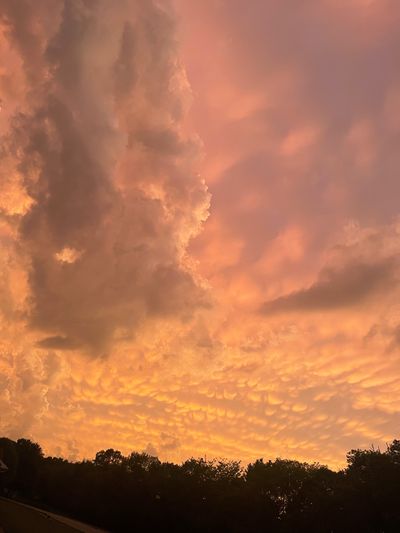 sunbehrmune thumbnail