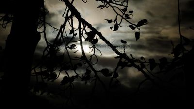 natashav84 thumbnail