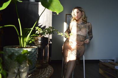 disarraerae thumbnail