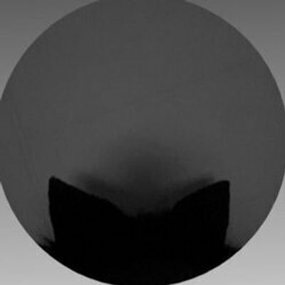 your_littletoy profile