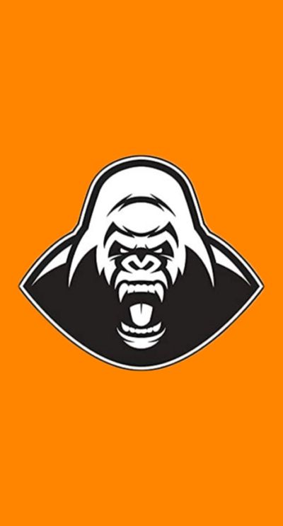 silverback.picks profile