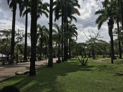 luna🌙🍑 thumbnail