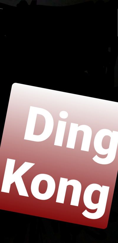 dingkong profile