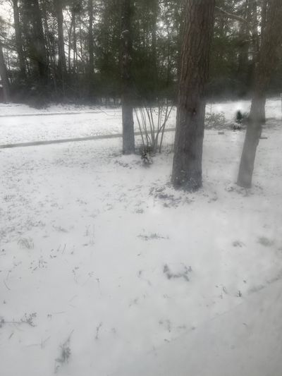 randomazn69 thumbnail