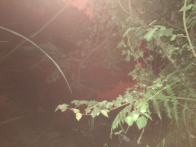 gayhairydude thumbnail