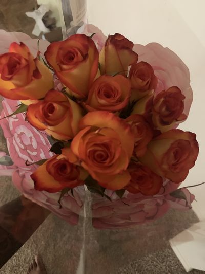 thefukkingbest thumbnail