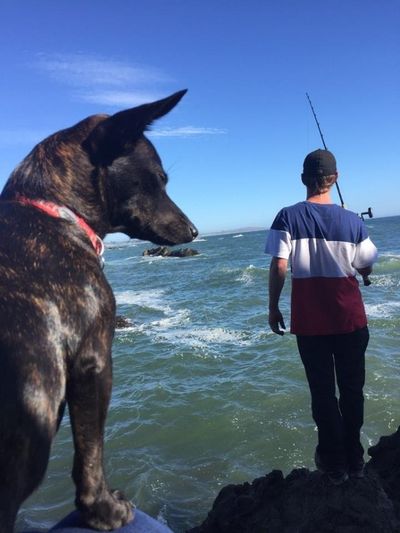 amonosbackwards thumbnail