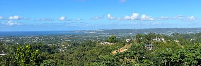 leo_kingplanet thumbnail