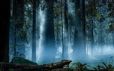 Lance Candid thumbnail